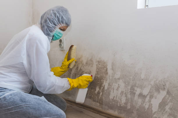 Best Mold Testing  in Reese, MI