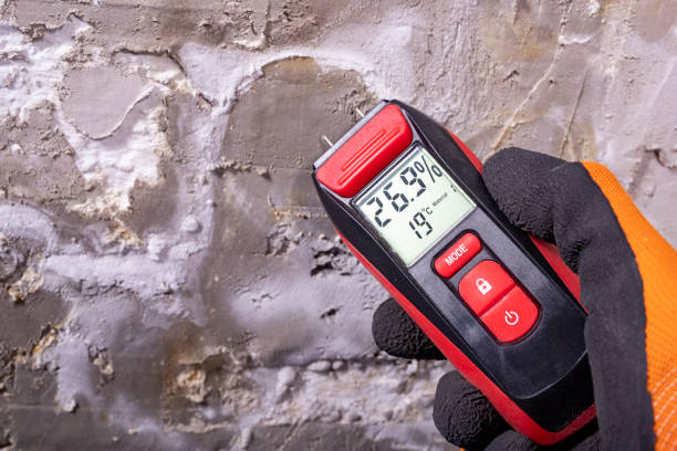 Best Residential Mold Removal  in Reese, MI