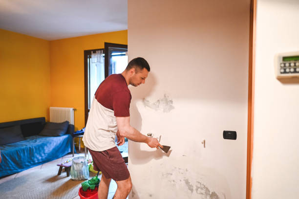 Reliable Reese, MI Mold Removal Solutions